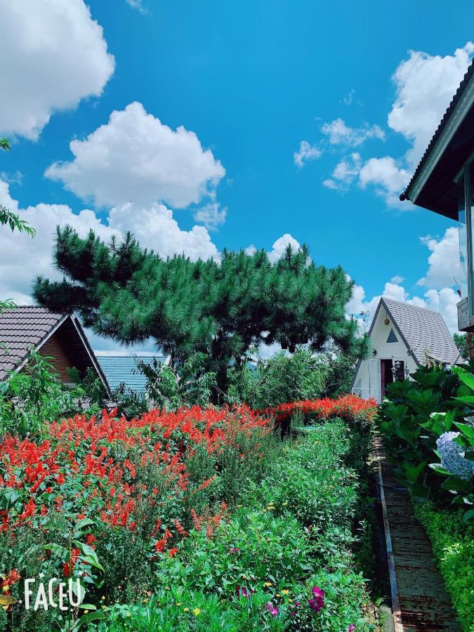 Bungalow Lam Phuong Cac Hill Đà Lạt Extérieur photo